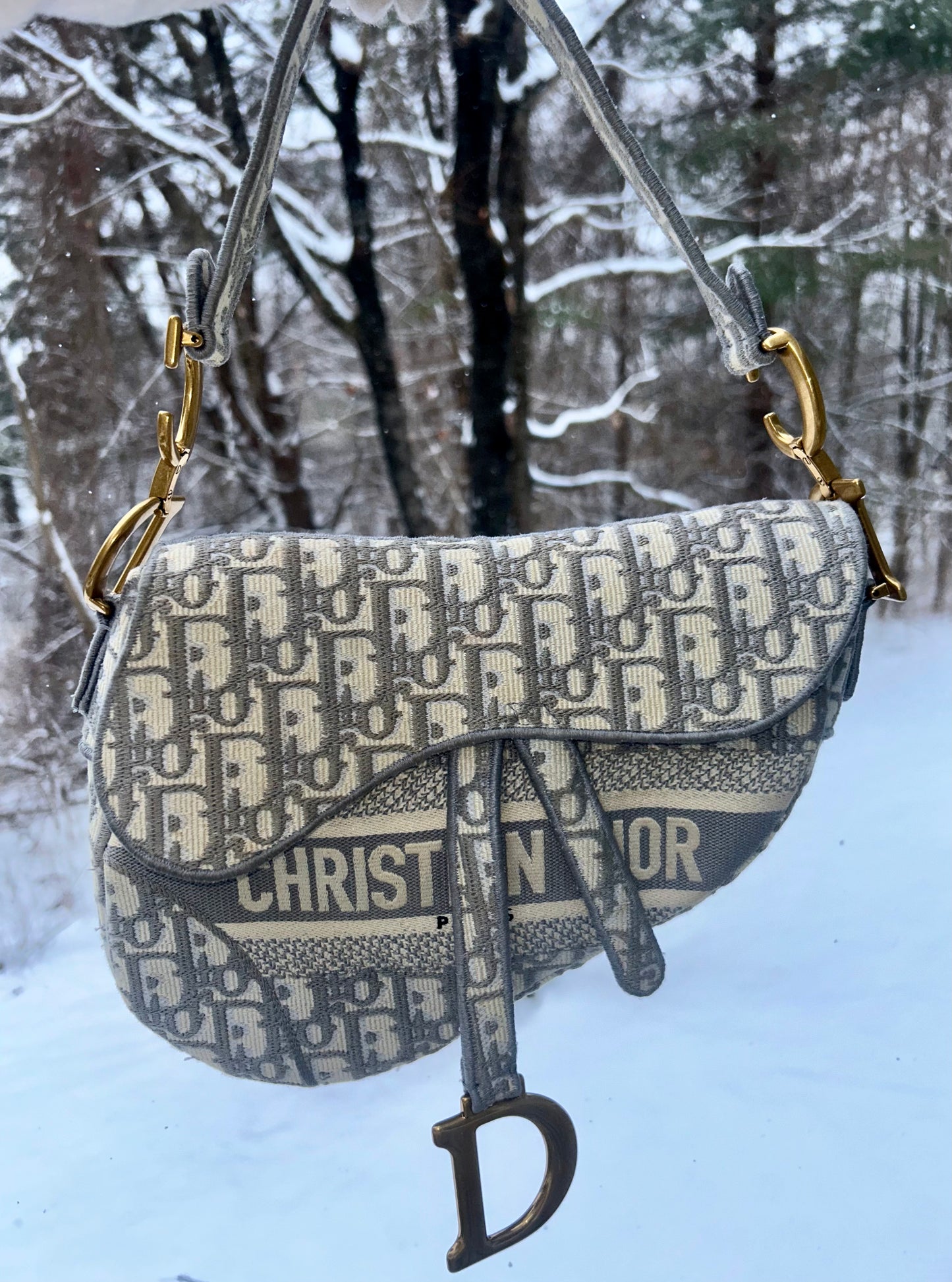 CHRISTIAN DIOR Medium Dior Oblique Embroidered Saddle Bag Gray