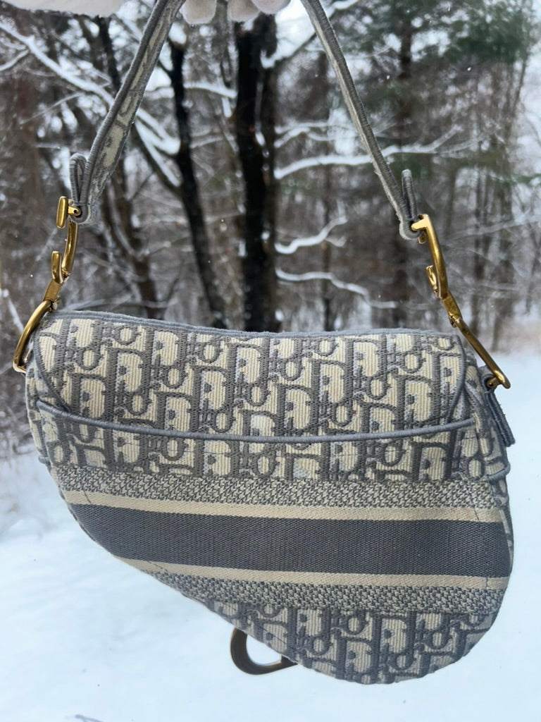 CHRISTIAN DIOR Medium Dior Oblique Embroidered Saddle Bag Gray
