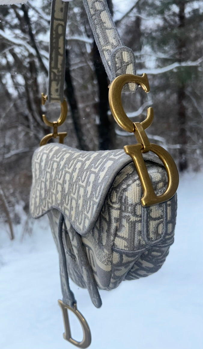 CHRISTIAN DIOR Medium Dior Oblique Embroidered Saddle Bag Gray