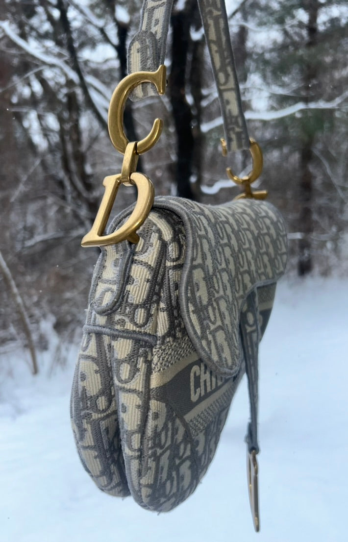 CHRISTIAN DIOR Medium Dior Oblique Embroidered Saddle Bag Gray
