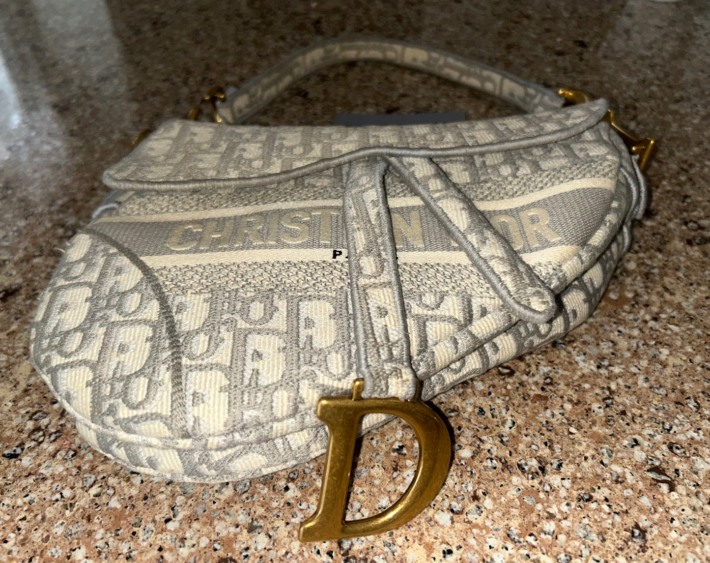 CHRISTIAN DIOR Medium Dior Oblique Embroidered Saddle Bag Gray