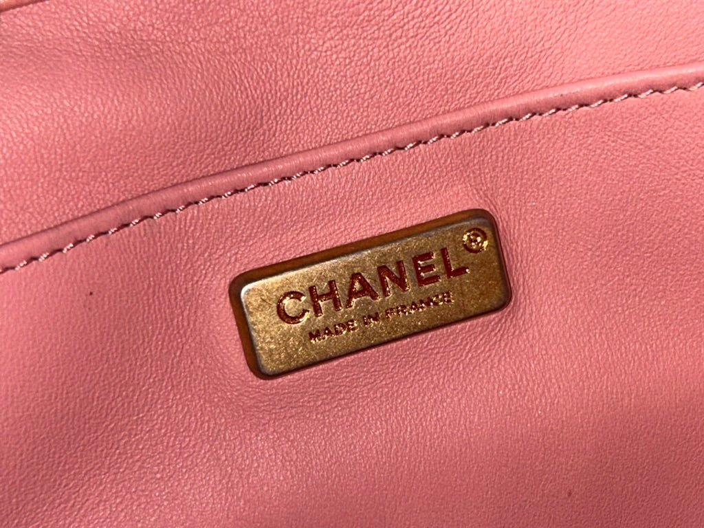 CHANEL Gabrielle Python Snakeskin Small Crossbody Bag in Rose Pink