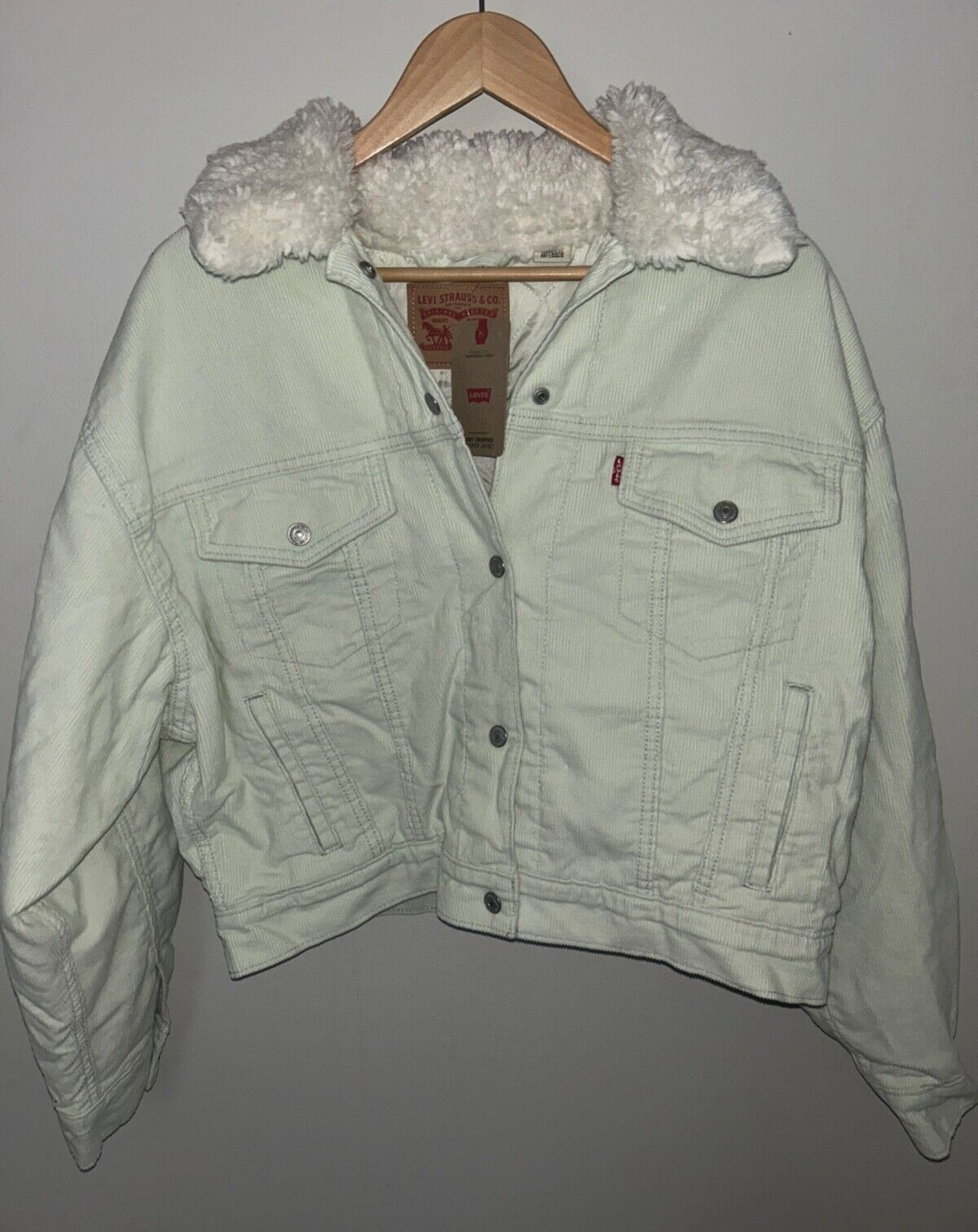 NEW! NWT LEVI'S Sherpa Baby Baggy Trucker Jacket Meadow Mist Size M