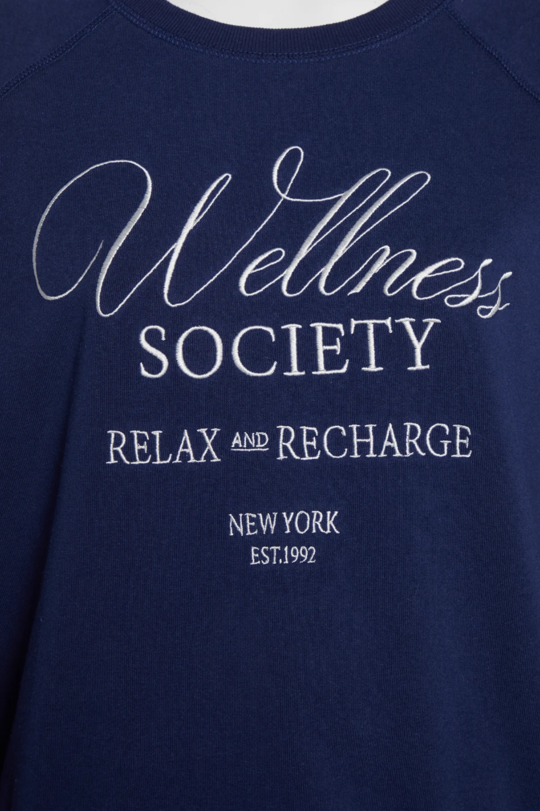 NEW! NWT WILDFOX Wellness Society Keely Raglan Sweatshirt Medieval Blue Size XS