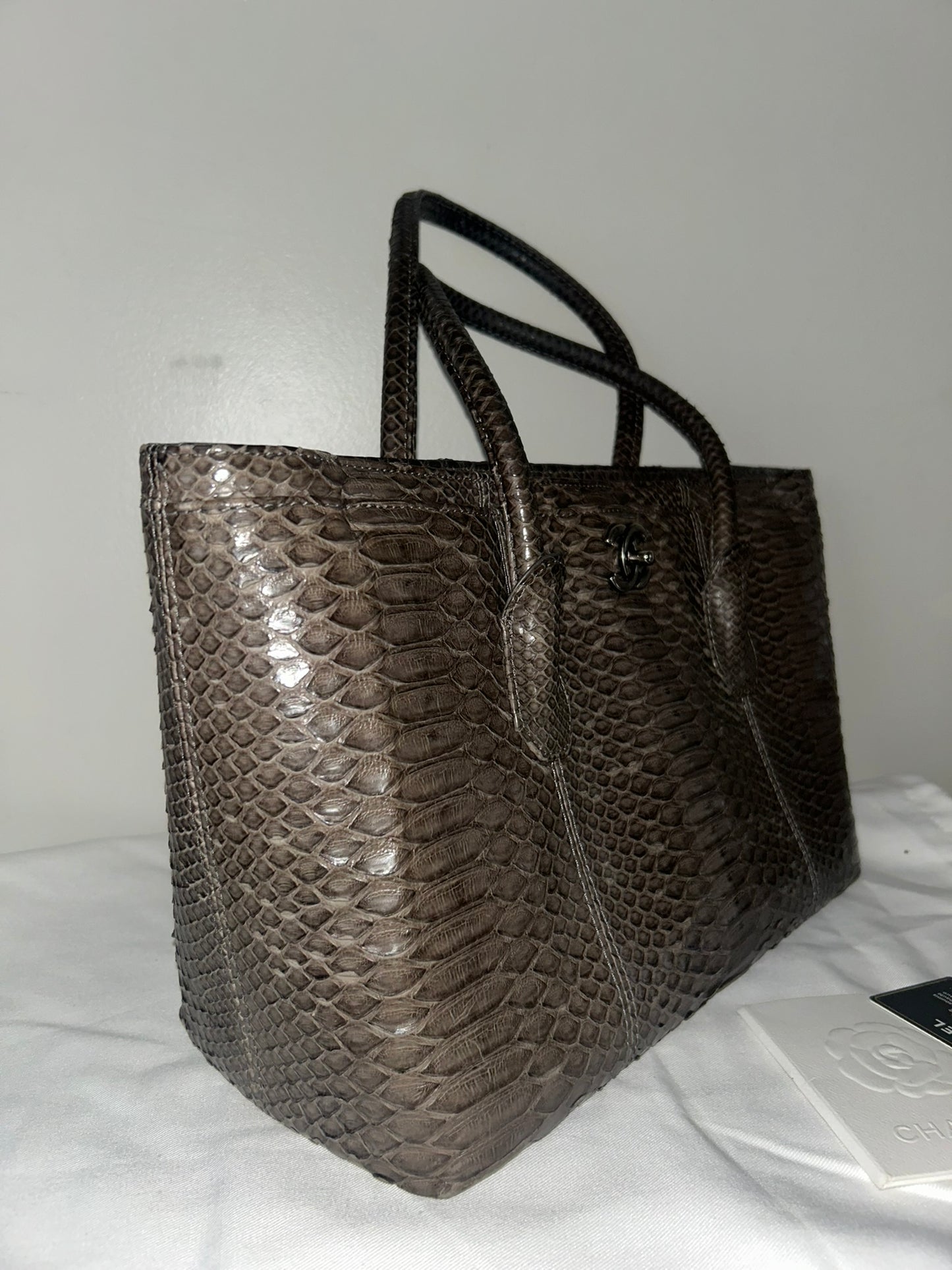 CHANEL Executive Tote Bag Python Dark Gray