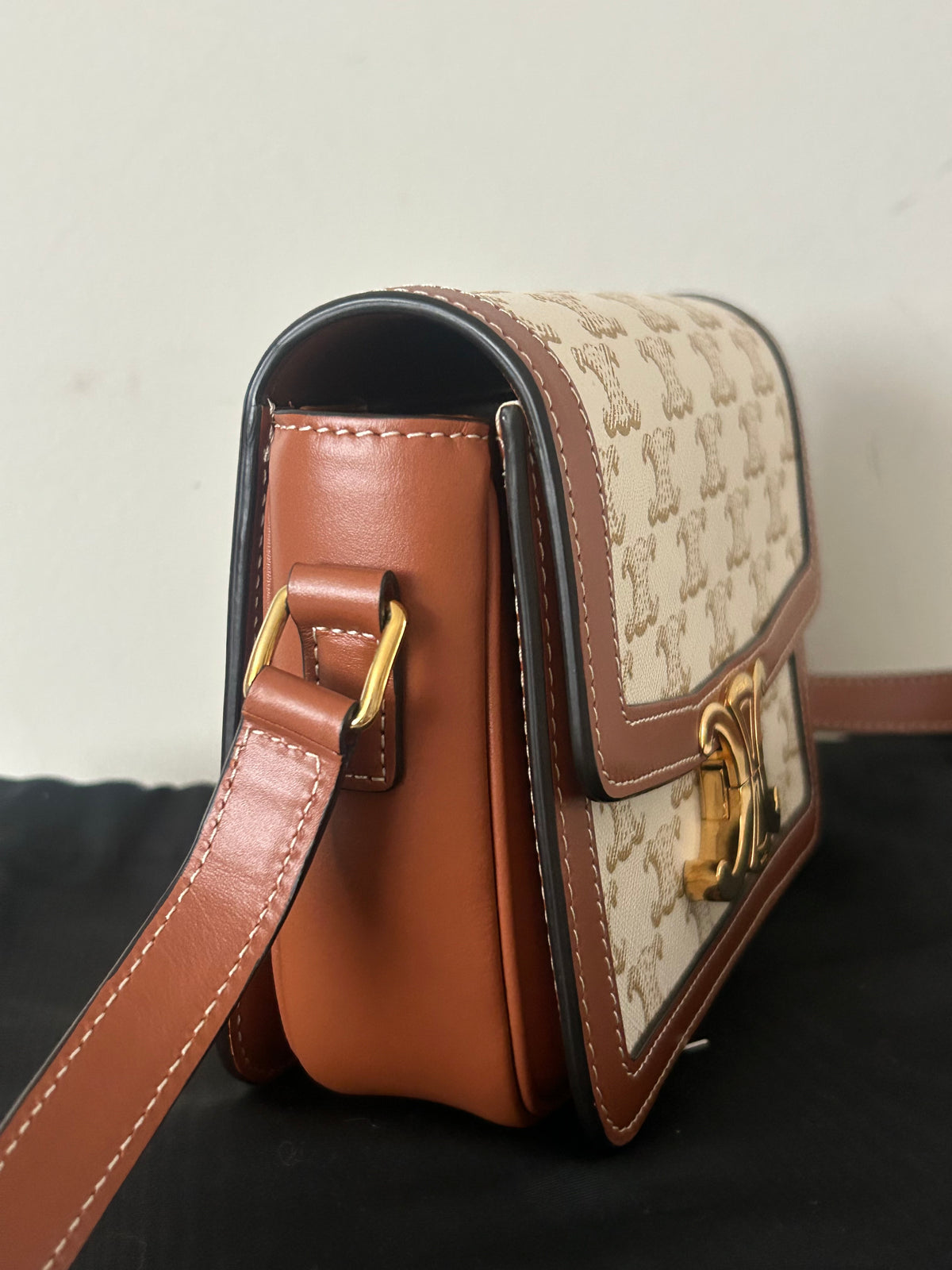 CELINE Teen Triomphe Shoulder Bag Calfskin & Coated Canvas White/Brown