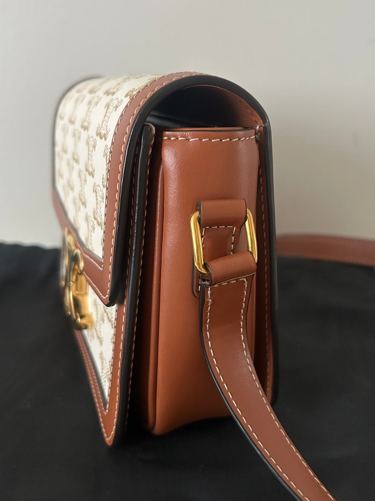 CELINE Teen Triomphe Shoulder Bag Calfskin & Coated Canvas White/Brown