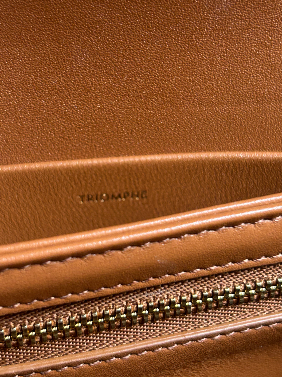 CELINE Teen Triomphe Shoulder Bag Calfskin & Coated Canvas White/Brown