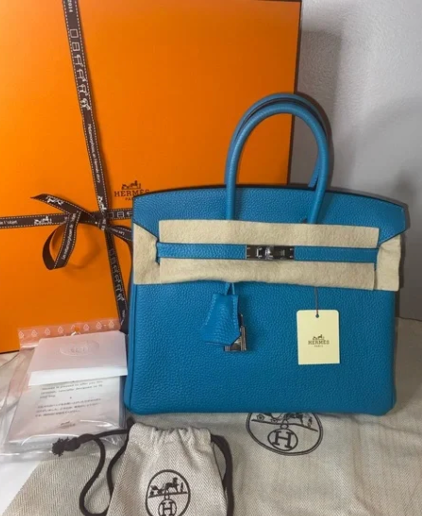 HERMÈS Birkin 25 Togo Turquoise Palladium Hardware Handbag